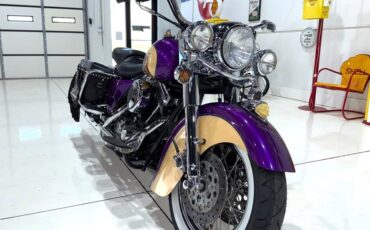 Harley-Davidson-Custom-Road-King-1995-14