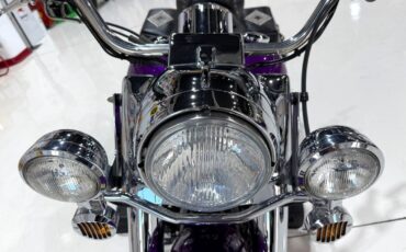 Harley-Davidson-Custom-Road-King-1995-15