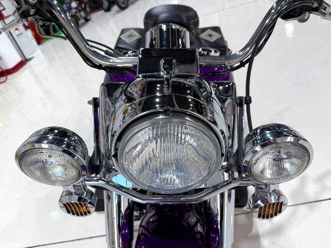 Harley-Davidson-Custom-Road-King-1995-15