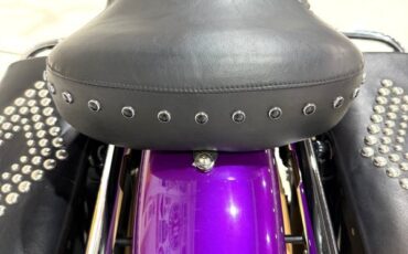 Harley-Davidson-Custom-Road-King-1995-19