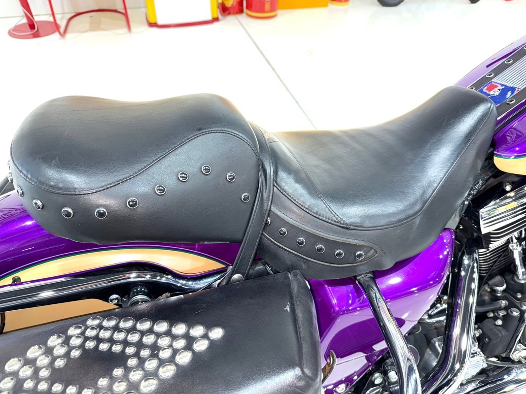 Harley-Davidson-Custom-Road-King-1995-23