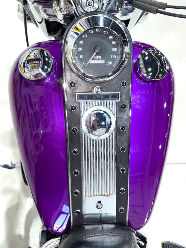 Harley-Davidson-Custom-Road-King-1995-32