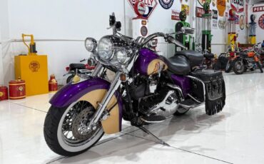 Harley-Davidson-Custom-Road-King-1995-35