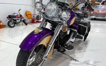 Harley-Davidson-Custom-Road-King-1995-37