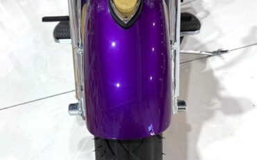 Harley-Davidson-Custom-Road-King-1995-39