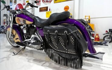 Harley-Davidson-Custom-Road-King-1995-5