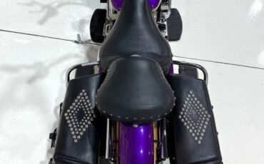 Harley-Davidson-Custom-Road-King-1995-7