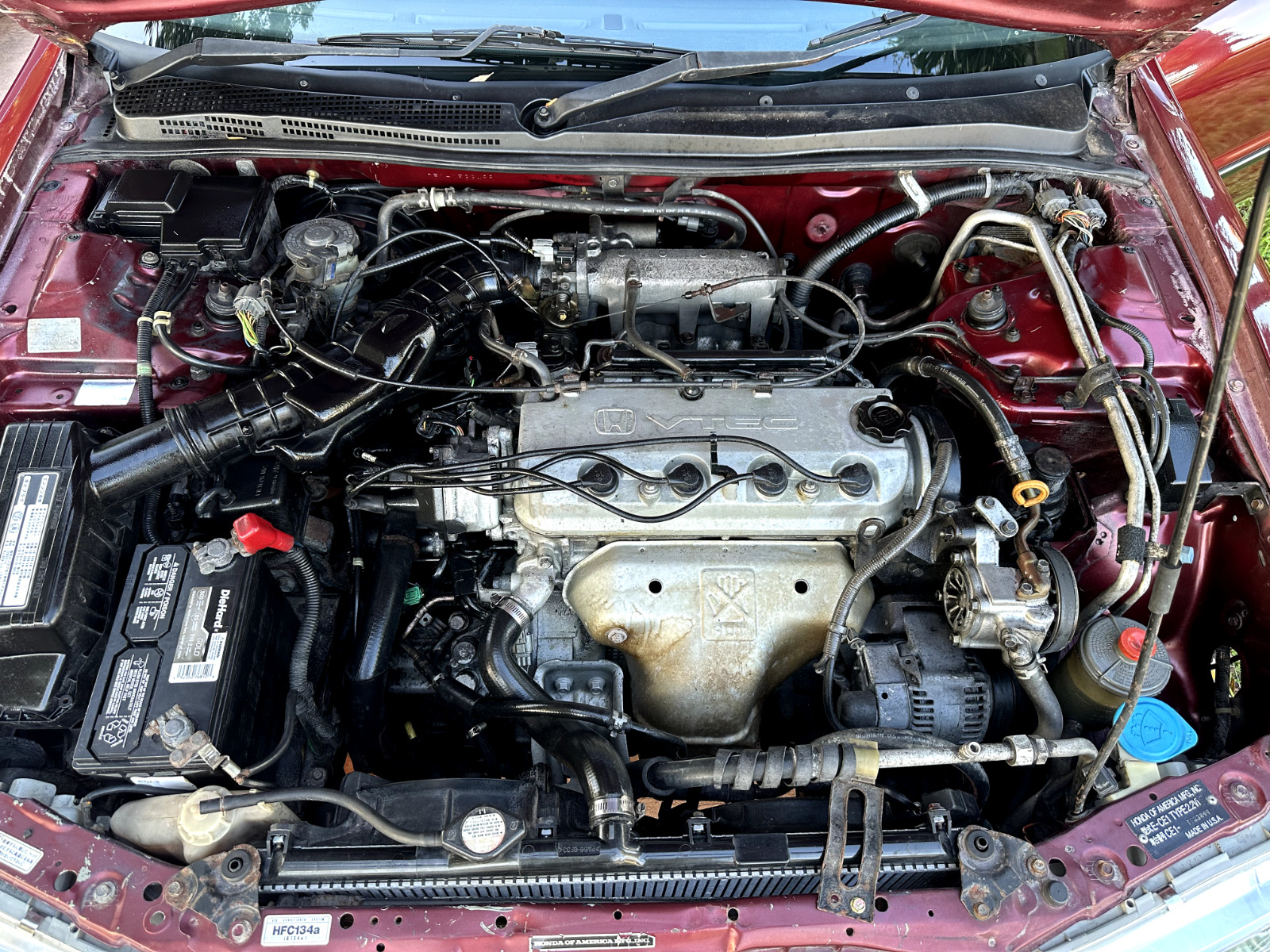 Honda-Accord-1995-Sedan-8
