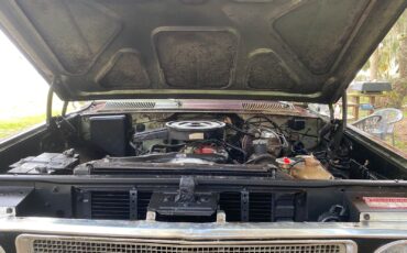 International-Harvester-Other-Pickups-1971-pickup-12