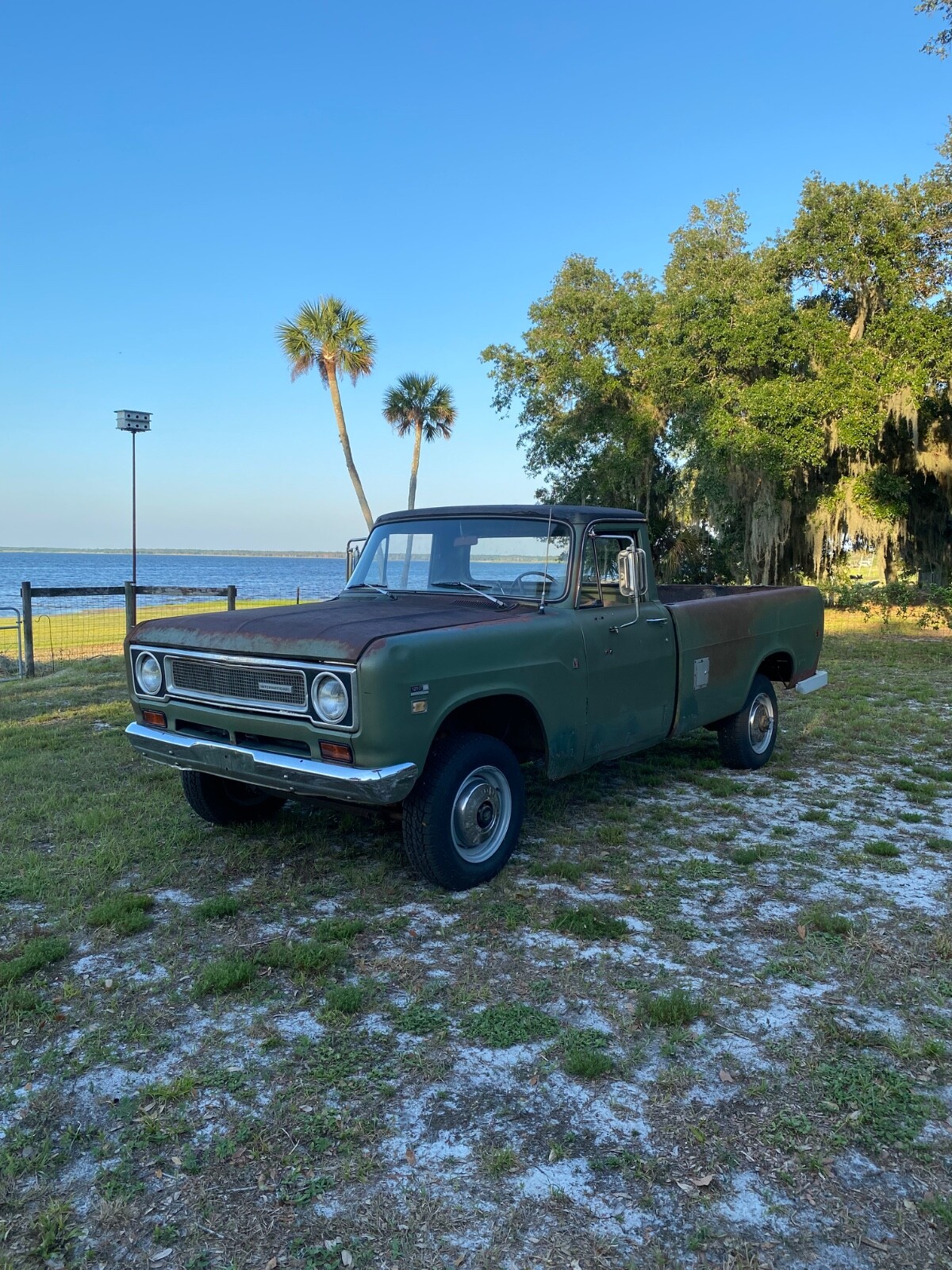 International-Harvester-Other-Pickups-1971-pickup-5