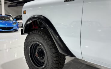 International-Harvester-Scout-1980-12