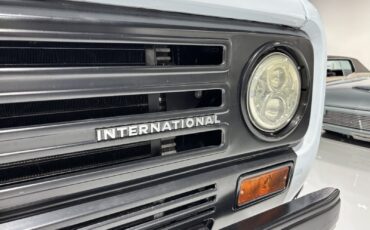 International-Harvester-Scout-1980-17