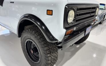 International-Harvester-Scout-1980-18