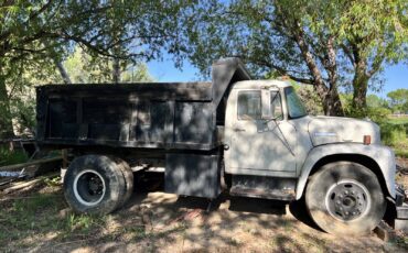 International-Pickup-1976-2