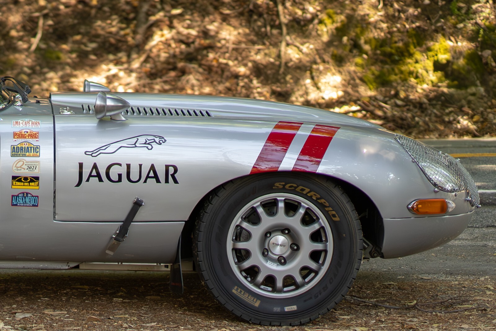 Jaguar-E-Type-1965-Coupe-7