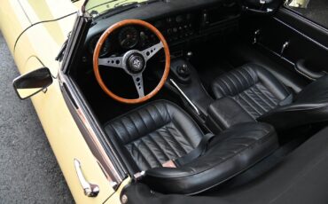 Jaguar-E-Type-Series-1-4.2-Roads-1967-18