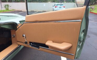 Jaguar-X-type-1970-green-13
