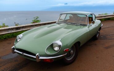 Jaguar-X-type-1970-green-3