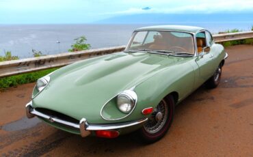 Jaguar-X-type-1970-green-4