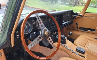 Jaguar-X-type-1970-green-8