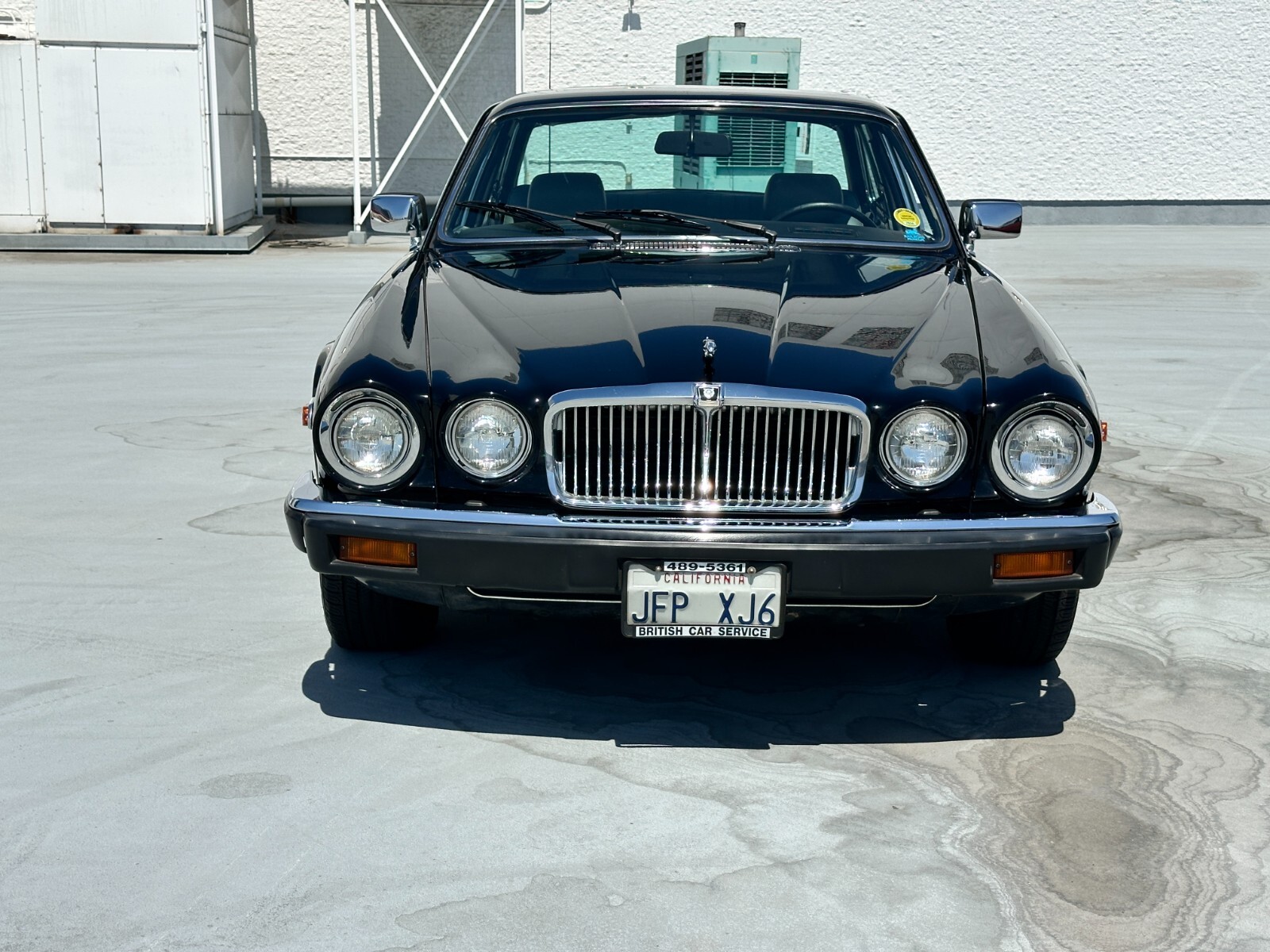 Jaguar-XJ-1985-Sedan-7