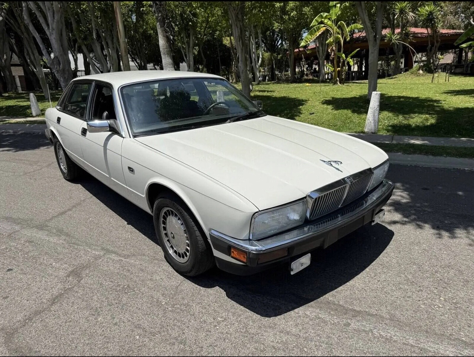 Jaguar-XJ6-1992-Sedan-1