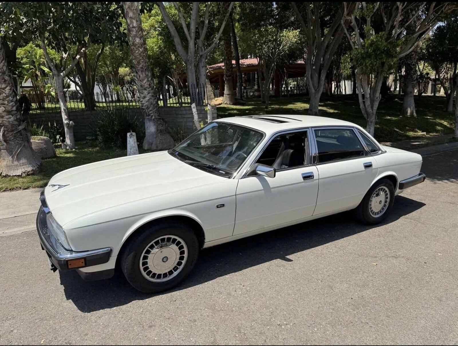 Jaguar-XJ6-1992-Sedan-8