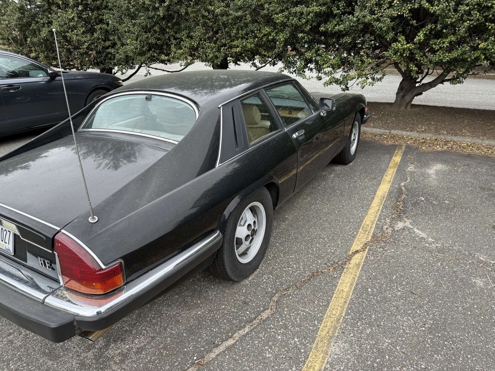 Jaguar-XJS-1985-1