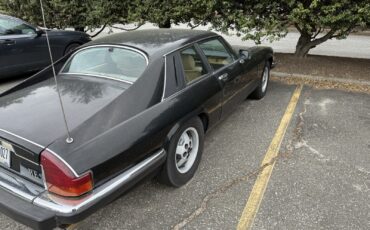 Jaguar-XJS-1985-1