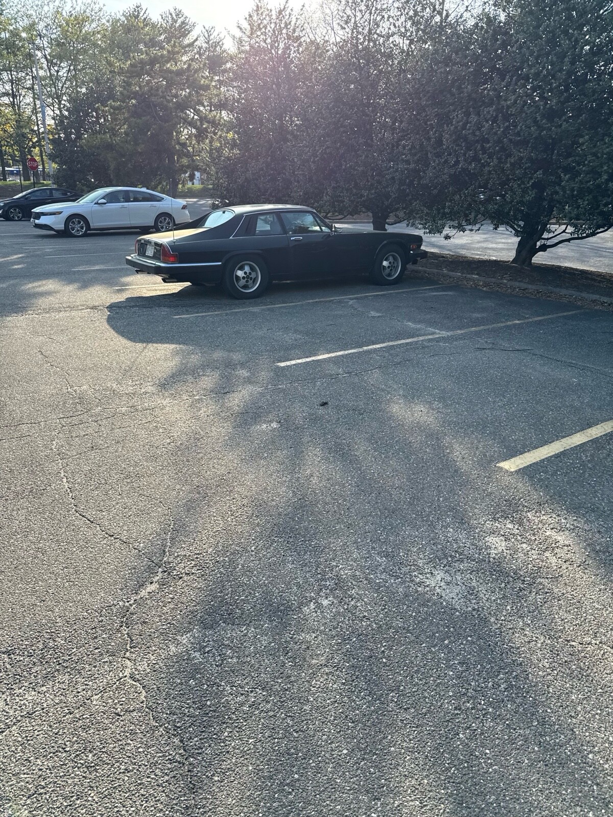 Jaguar-XJS-1985-2
