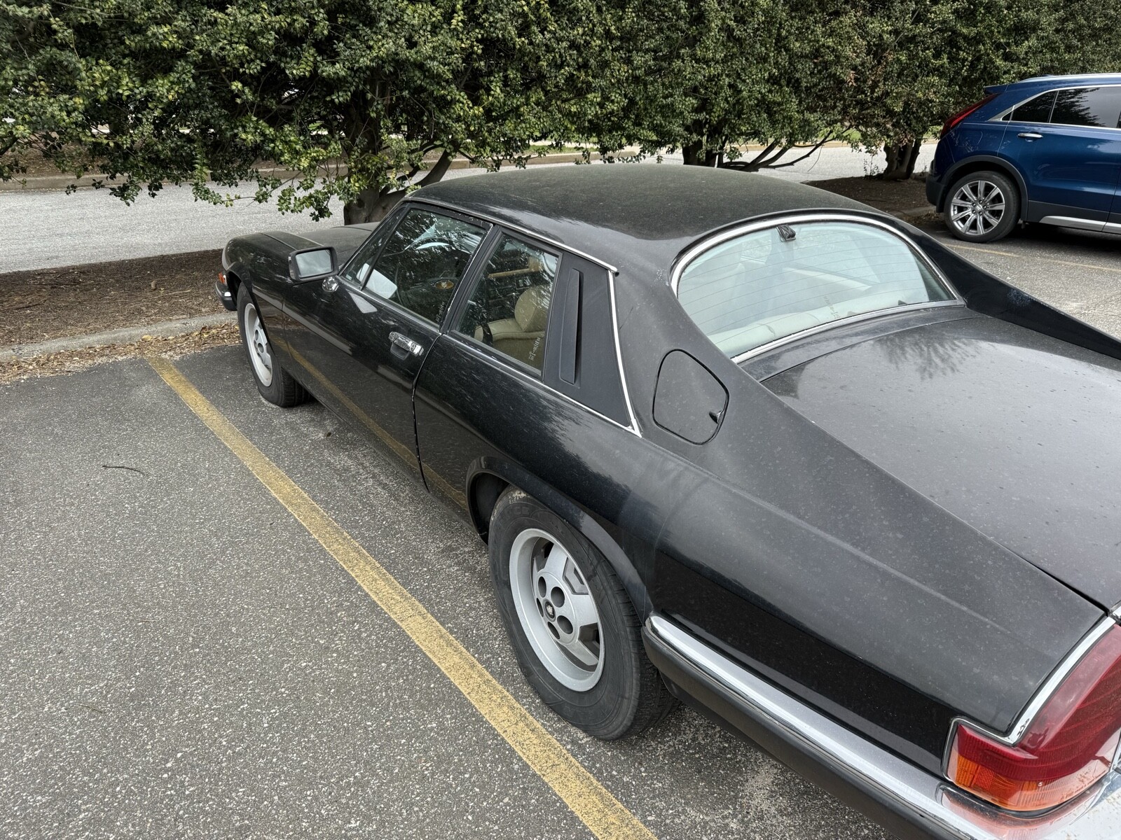 Jaguar-XJS-1985
