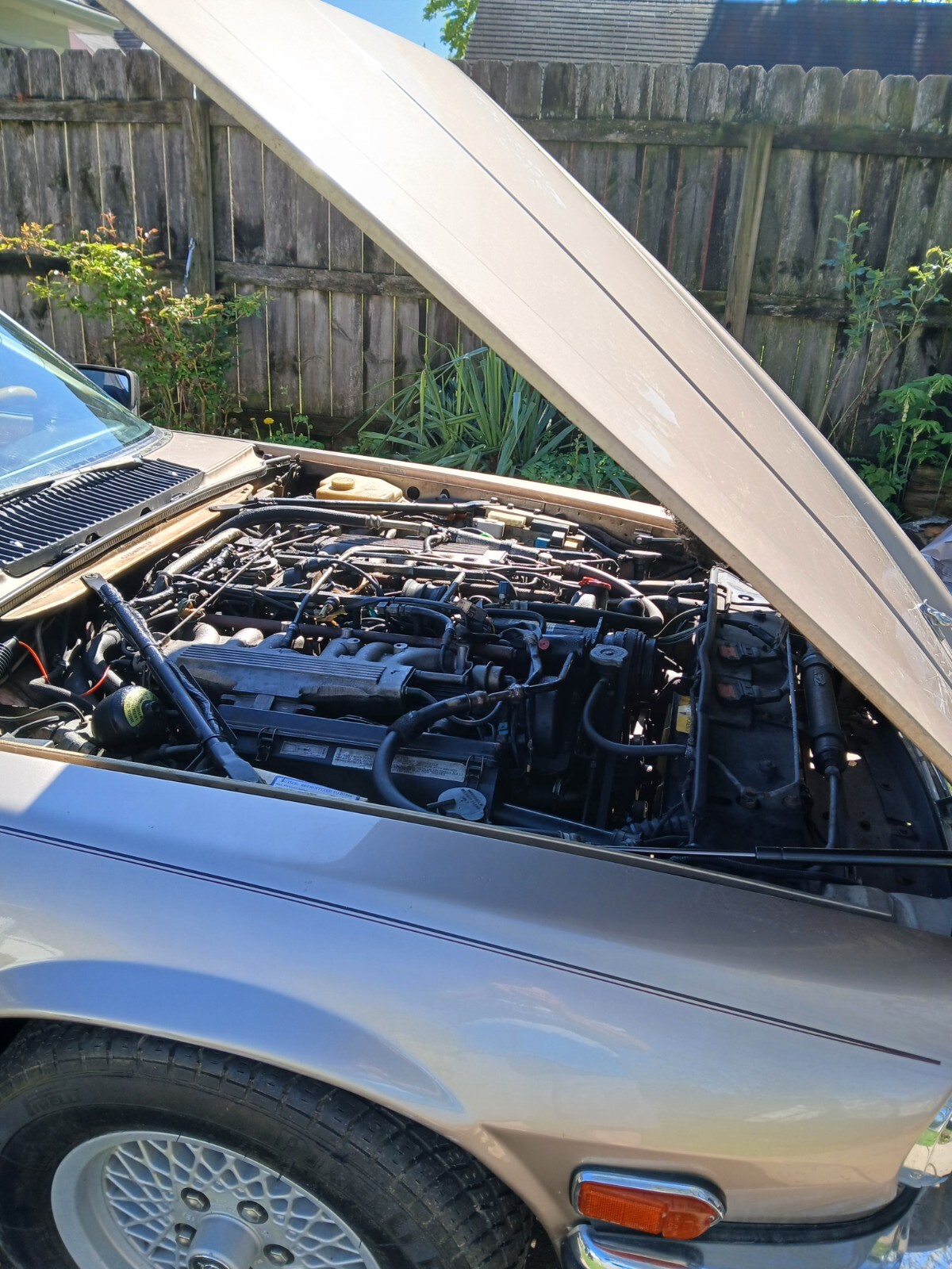 Jaguar-XJS-1991-Convertible-1