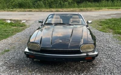 Jaguar XJS 1993 Convertible