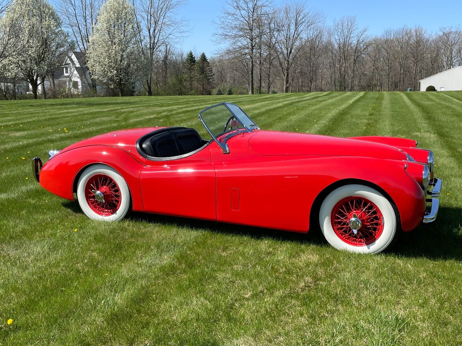 Jaguar-XK-1954-Roadster-15