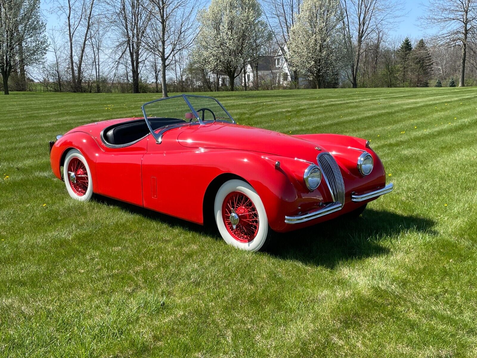 Jaguar-XK-1954-Roadster-16