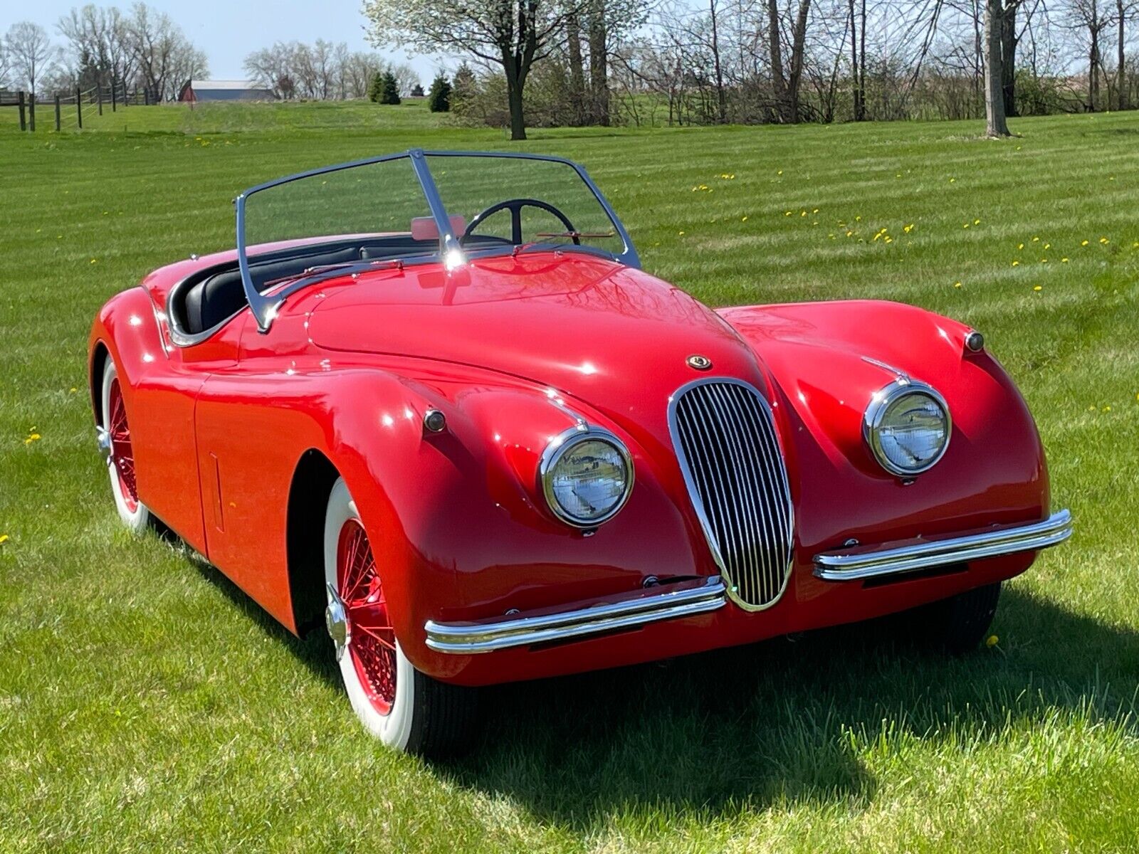 Jaguar-XK-1954-Roadster-17