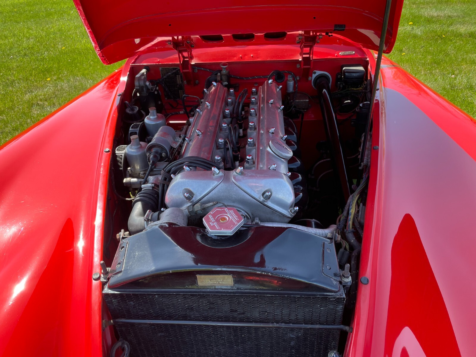 Jaguar-XK-1954-Roadster-24