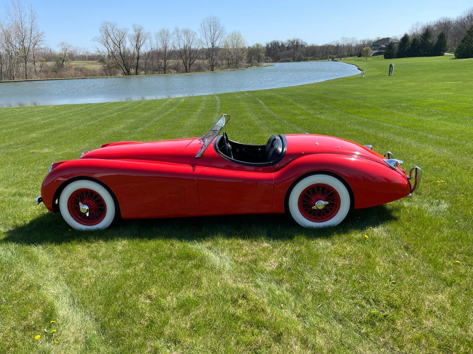 Jaguar-XK-1954-Roadster-5