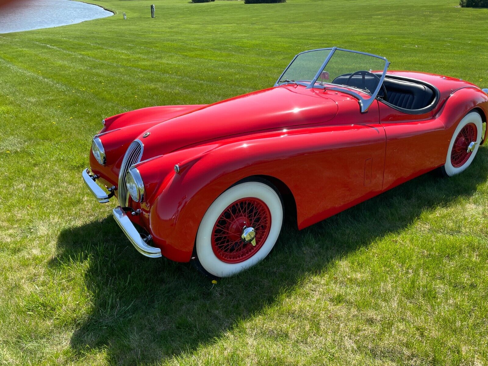 Jaguar-XK-1954-Roadster-6