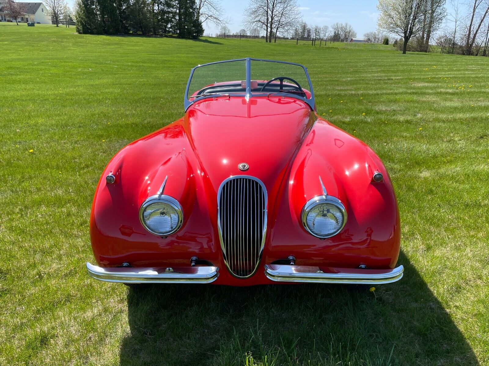 Jaguar-XK-1954-Roadster-7