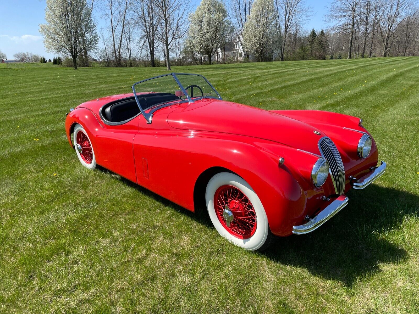 Jaguar-XK-1954-Roadster-8