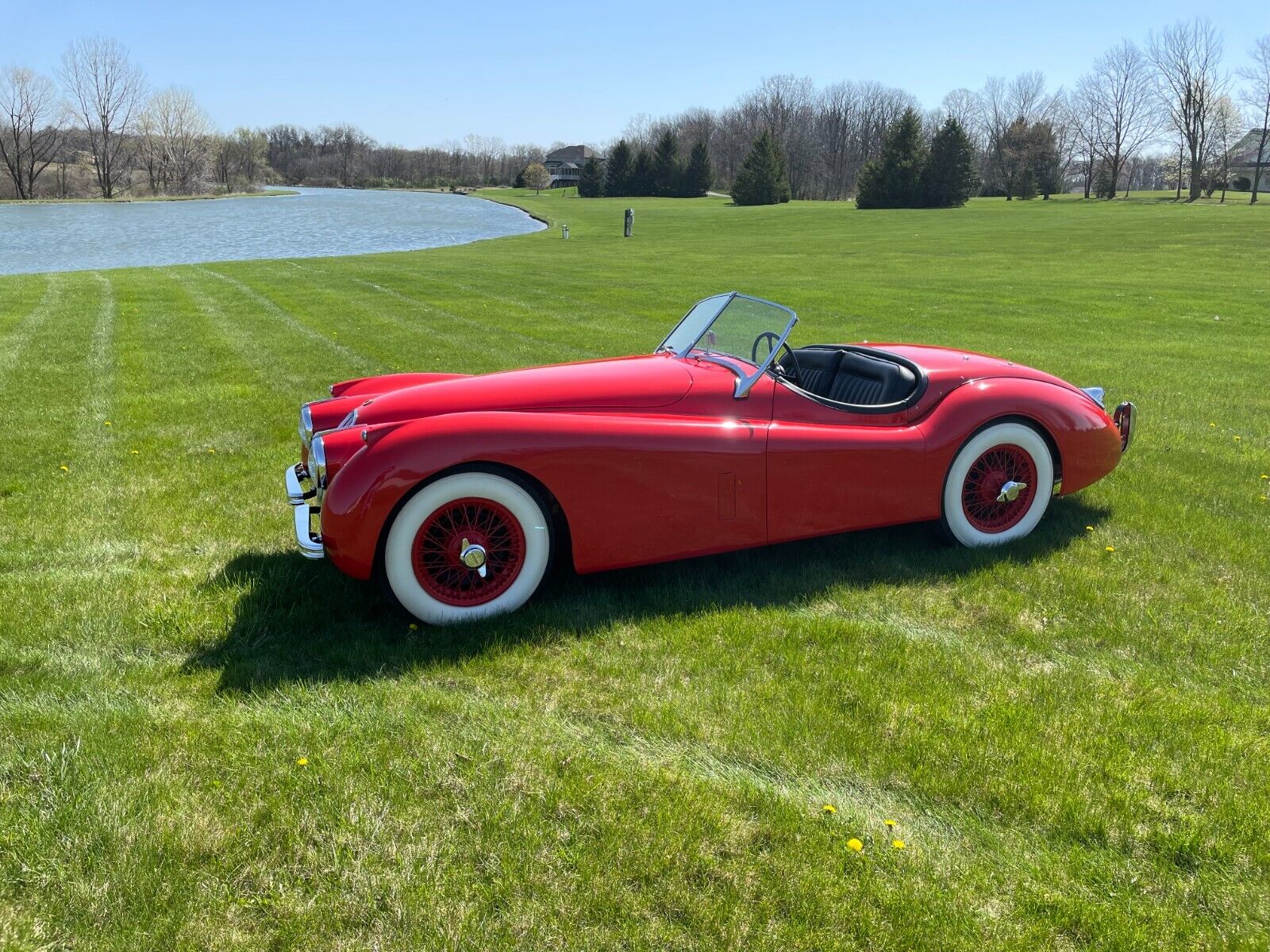 Jaguar XK 1954 Roadster