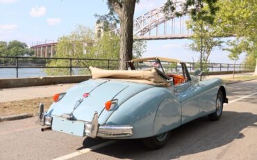 Jaguar-XK-1956-Drophead-Coupe-5