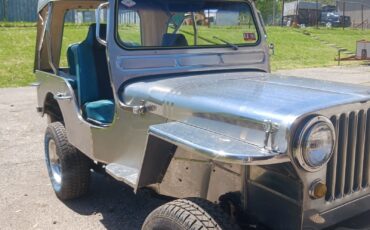 Jeep-CJ-1976-5