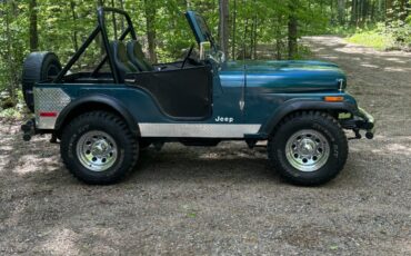 Jeep-CJ-1977-2