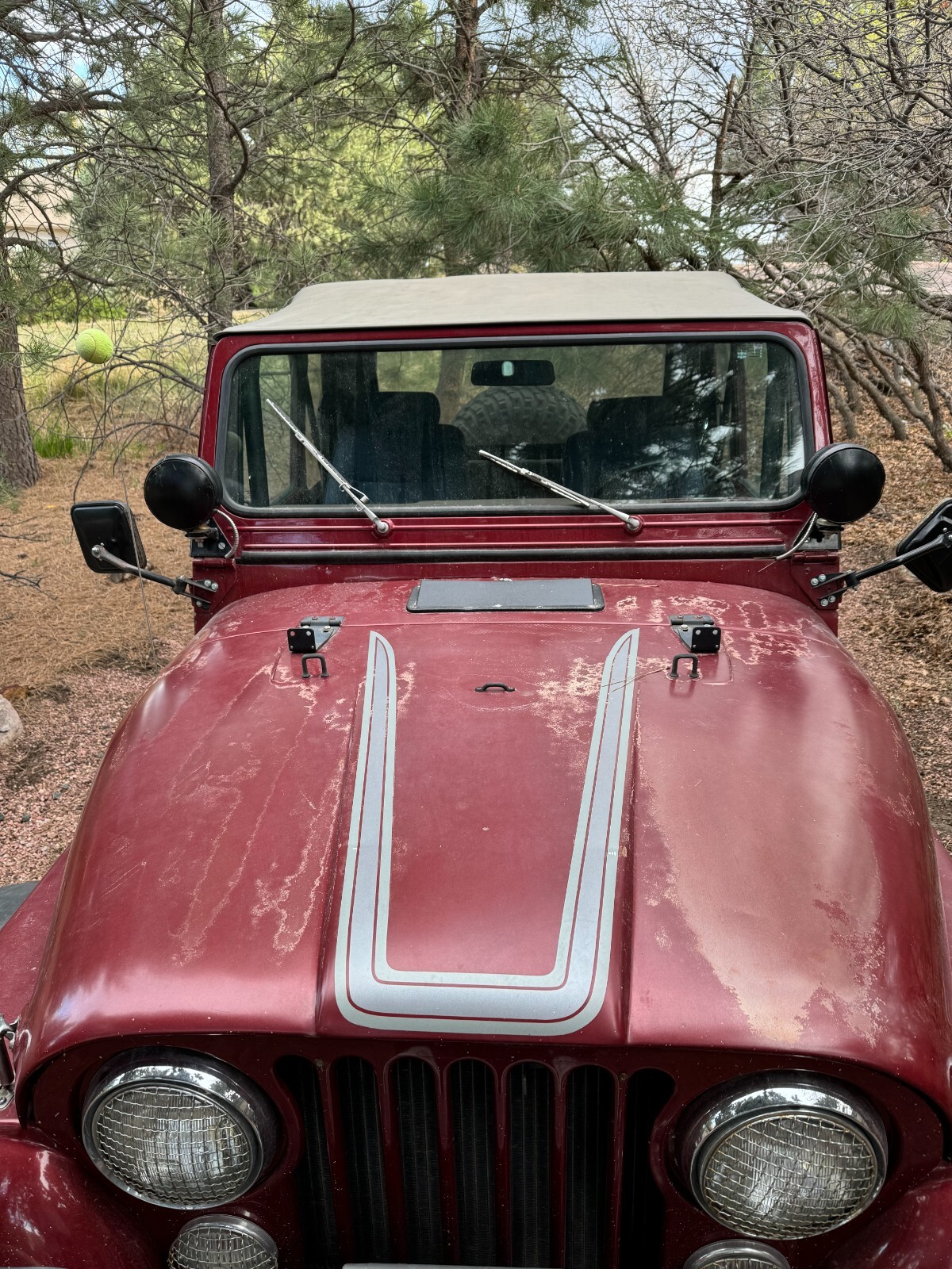 Jeep-CJ-1984-5