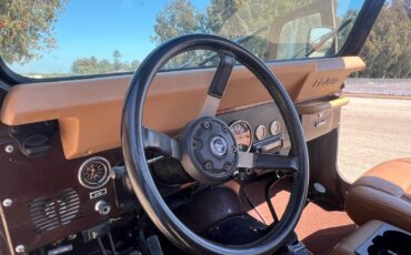 Jeep-CJ-1986-Jeep-20