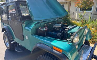 Jeep-Cj-5-1971-green-6