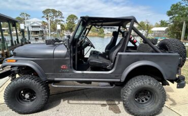 Jeep-Cj-7-diesel-1986-black-10