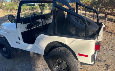 Jeep-Cj5-1976-white-3